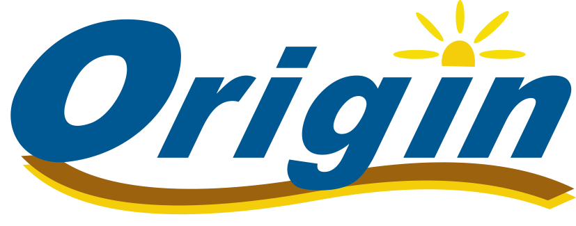 Origin logo